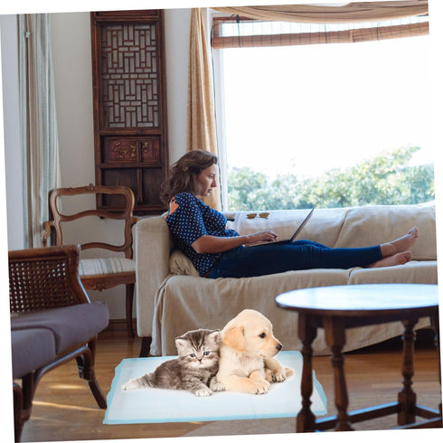 20-Pack Disposable Dog Pee Pads Leakproof PET Urine Mats for Home Outdoor Training Super Absorbent PET Changing Mats