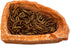 2 Pack Corner Reptile Water Dish Food Bowl, Bearded Dragon Bowls for Hermit Crab, Lizard, Gecko, Frog, Tortoise