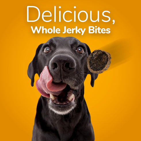 Fruitables Whole Jerky Bites, Grilled Bison Dog Treats, Healthy Dog Treats, 5 Ounces