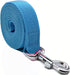 Nylon Dog Leash 4 Ft 5 Feet 6 Foot Long, 1 Inch Wide, Blue, Walking Training Leashes for Medium Large Dogs (6ft)