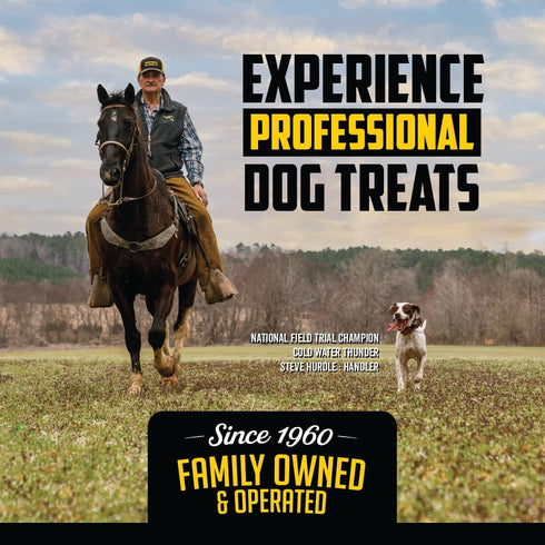 Field Master Perfect Partner Chicken & Brown Rice Recipe Training Dog Treats, 12 oz