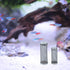 AUEAR 2 Pack Stainless Steel Mesh Inflow Aquarium Filter Guard, Intake Cover for Shrimp and Fish