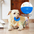 ENZZROA 3-Pack Puppy Chew Toys for Teething Relief Soft & Durable Rubber Toys for Small & Medium Puppies, Includes