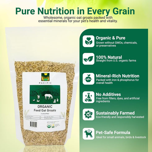 Packed 2Lbs PACIFIC Organic Petfood Organic Feed Oat Groats - Oat Groats for Birds | Rich with Fiber & Minerals | USDA