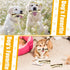 Sosation 10 Pcs Nylon Beef Flavor Dog Chew Toys for Aggressive Chewers, Tough Teething Bones for Medium Breed Dogs
