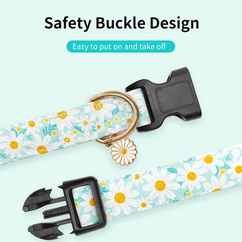 Adjustable Dog Collars with Buckle, Soft Fancy Flower Design for Cute Girl Boy Dogs, Small Medium Large (Cyan-Daisy)