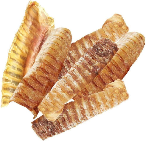hotspot pets Premium Beef Trachea for Dogs 6" Strips Split -(20 Pack)