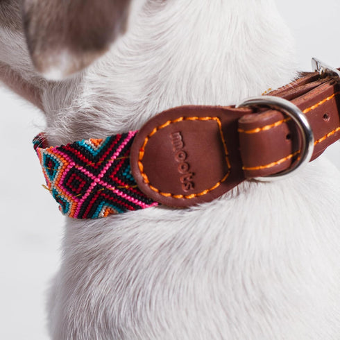 Moots Root Hand-Knitted Leather Pet Collar, Pink, Small, ART110S