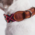 Moots Root Hand-Knitted Leather Pet Collar, Pink, Small, ART110S