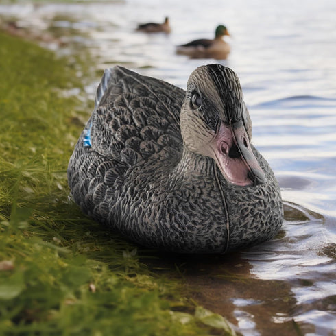 Realistic Mallard Duck Models as Decoys and Ornaments Loved by Hunting Enthusiasts
