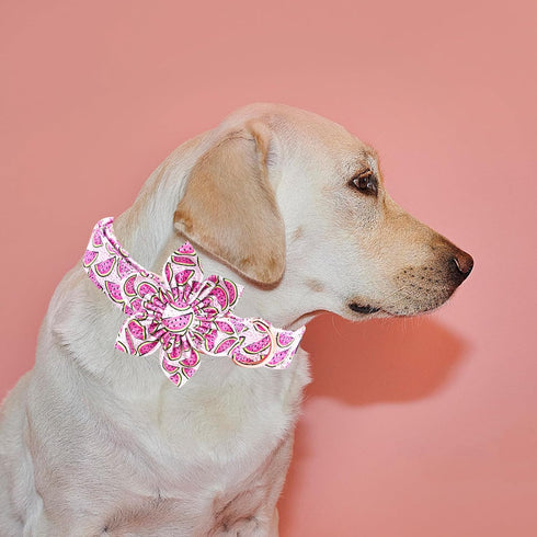 Adjustable Dog Collar with Flower - Elegant Watermelon Print Cute Collar for Large Dogs