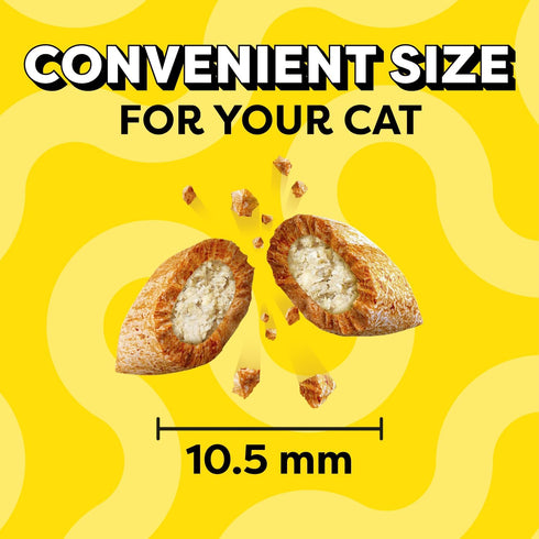 6.3 oz. (Pack 10) Temptations Cat Treats Classic Crunchy and Soft Cat Treats, Tasty Chicken Flavor, Pouch