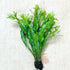 PLANTEREST BUY2GET1FREE Java Fern Windelov Microsorum Pteropus Loose US Grow Live Aquarium Plant Tropical Freshwater