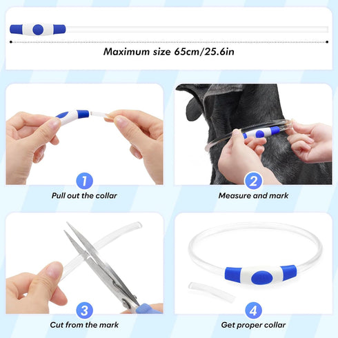 BSEEN Blue Light Up Dog Collar - 360° Visible Rainproof LED Rechargeable for Small Medium Large Dogs