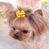 PET SHOW Bowknot Dog Hair Bows with French Barrette Clips - Pack of 10 Grooming Accessories for Yorkie, Teddy, Puppies