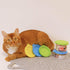 Comtim Pet Food Can Lids, Silicone Covers for Dog and Cat Food, Universal Size Fits All Standard Can Tops (3 Pack &