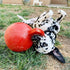 Tug N Toss Jolly Balls - 6in Assorted Colors