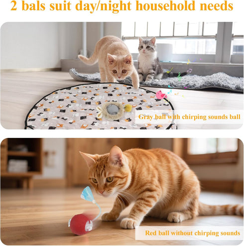 Coficoee 2 3 5 Interactive Cat Toys for Indoor Automatic Cat Balls Hide and Seek in Pouch, with Balls Tails Play Mat