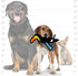 TUFFY World's Tuffest Soft Dog Toy - Zoo Junior Toucan, Durable & Strong for Interactive Play.