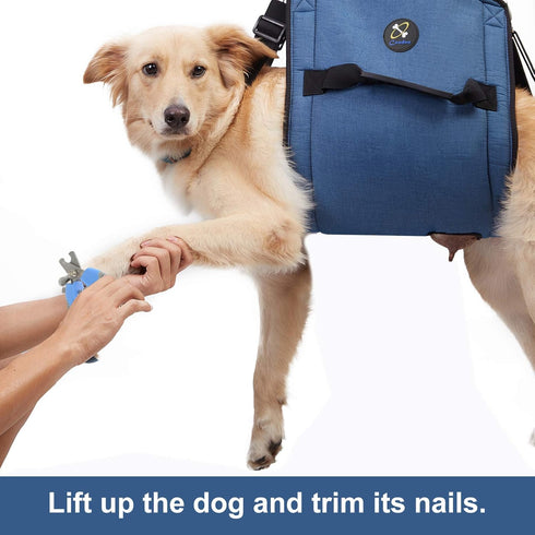 Dog Carry Sling, Emergency Backpack for Senior Dogs, Rehabilitation Lift Harness for Joint Injuries (L, Blue)