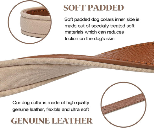 Leather Dog Collar for Small Medium Large Dogs, Soft Waterproof Padded Puppy Collars