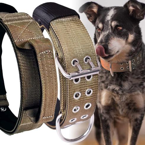 Large Dog Collar Heavy Duty - 2 Inch Wide with Handle for Extra Large Breeds, 22"-27"