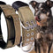 Large Dog Collar Heavy Duty - 2 Inch Wide with Handle for Extra Large Breeds, 22"-27"