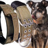 Large Dog Collar Heavy Duty - 2 Inch Wide with Handle for Extra Large Breeds, 22"-27"