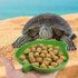 Leaf Shape Reptile Food Water Bowl, 2 Pieces Reptile Plate Dish for Tortoise, Corn Snake, 2 Sizes