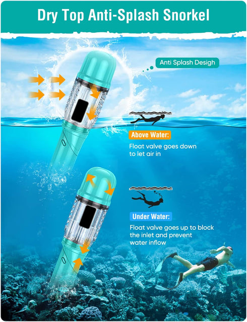 Snorkel Set for Adults, Anti-Fog Panoramic Swim Mask, Dry Top Snorkel Kit with Carry Bag for Scuba Diving Travel