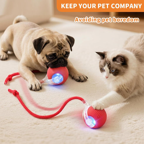 Interactive Cat Toys for Indoor Cats Smart Automatic Ball Rolling for Bored Kitten Pet Upgraded Speedy Moving Chase