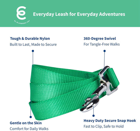 Blueberry Pet Essentials Emerald Dog Leash - 5' * 3/8" Heavy Duty Nylon Lead for X-Small Dogs, Lightweight Puppy & Cat