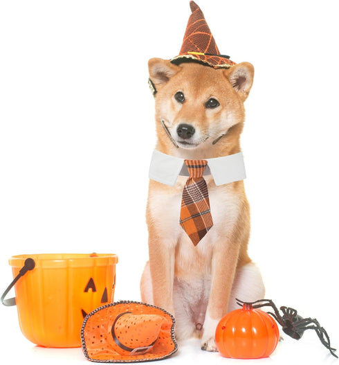 ADOGGYGO Fall Dog Necktie Collar with Orange Plaid Tie for Large Dogs, Pet Tuxedo for Halloween and Thanksgiving