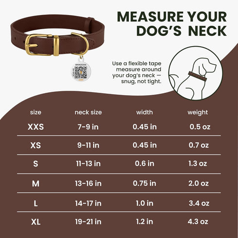 BRONZEDOG Leather Dog Collar with Metal Buckle, Durable Basic Pet Collars, Dark Brown & Gold