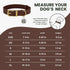 BRONZEDOG Leather Dog Collar with Metal Buckle, Durable Basic Pet Collars, Dark Brown & Gold