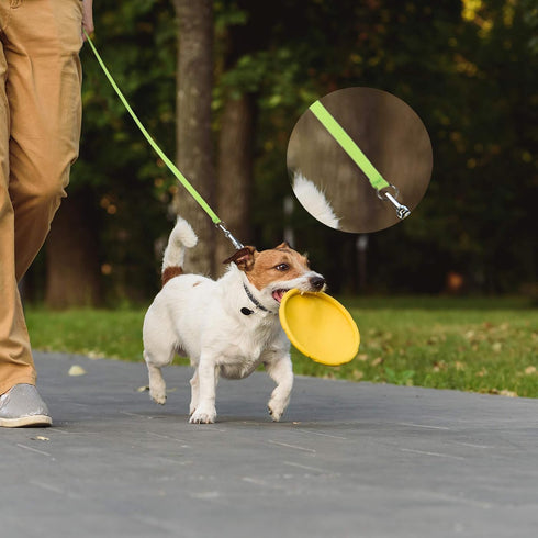 18 Pieces Slip Leads Dog Leash - 6 Feet Pet Rope with O-Ring for Small, Medium & Large Dogs for Grooming and Training