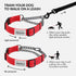 CollarDirect Martingale Dog Collar with Stainless Steel Chain and Quick Release Buckle - Reflective Collar for Large, Medium, Small Dogs - Red, Large (Neck Size 17"-22")