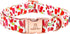 Lionheart Glory Dog Collar, Popsicle Print, Adjustable Soft Durable Collar for Small Dogs, Cute Spring Summer Design