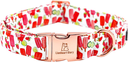 Lionheart Glory Dog Collar, Popsicle Print, Soft Durable Adjustable Collars for Small Dogs, Pet Collar Gift