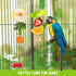6 PCS Bird Treats Skewer, Parakeet Hanging Food Holder, Stainless Steel Fruit Vegetable Stick Holder, Cockatoo
