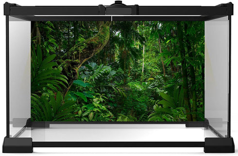 Tropical Rainforest Aquarium Background Psychedelic Forest Terrarium Background with Old Trees, Woodland Reptile
