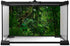 Tropical Rainforest Aquarium Background Psychedelic Forest Terrarium Background with Old Trees, Woodland Reptile