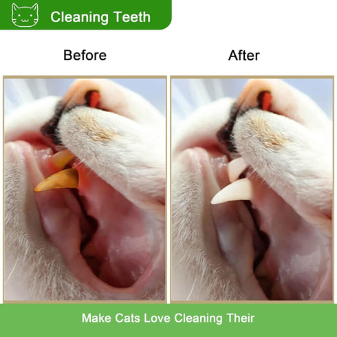 Cat Toy (6 PCS) Silver Rattan Stick, Catnip Stick for Training, Chew Stick, Indoor Interactive Toy