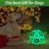 Light Up Dog Ball, Interactive Glow in The Dark Soccer Ball, Tug Water Toy for Small & Medium Dogs, Puppy Gifts (6 Inch)