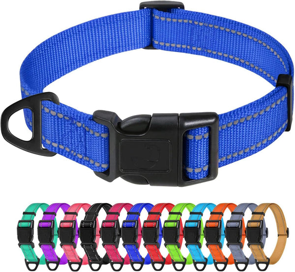 TagME Reflective Nylon Dog Collars, Adjustable Pet Collar for Small Dogs, Royal Blue, 5/8" Width with Quick Release