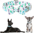 Adjustable Dog Collar Easter Gift with Bow Tie - Egg Design for Small, Medium, and Large Boys & Girls, Neck 10"-16"