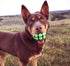 Dog Balls Toys Squeaky Fetch - Rubber Funny Ball Gifts for Large, Medium Dogs (Variety Pack)