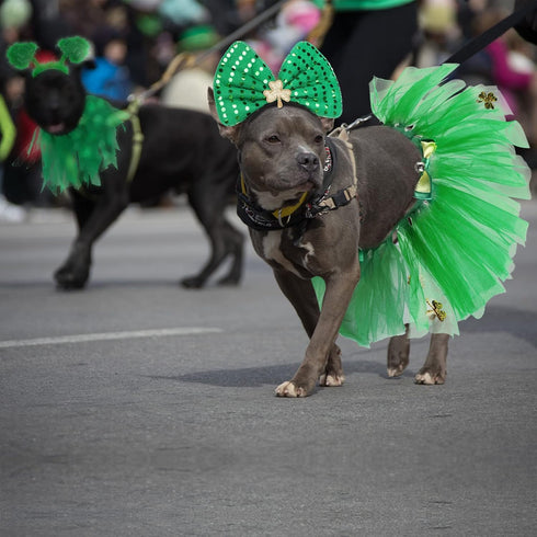 4 Pcs St Patrick's Day Dog Costume - Tutu for Dogs, Sequins Bowtie, Shamrock Headband, Green Puppy Skirt for Irish Party