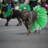 4 Pcs St Patrick's Day Dog Costume - Tutu for Dogs, Sequins Bowtie, Shamrock Headband, Green Puppy Skirt for Irish Party
