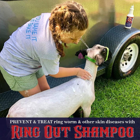 Ring Out Shampoo and Soap 32 oz - Pet and Show Livestock Shampoo with Tea Tree Oil for Healthy Hair
